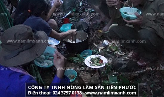 Cần kiêng gì khi uống nấm lim xanh