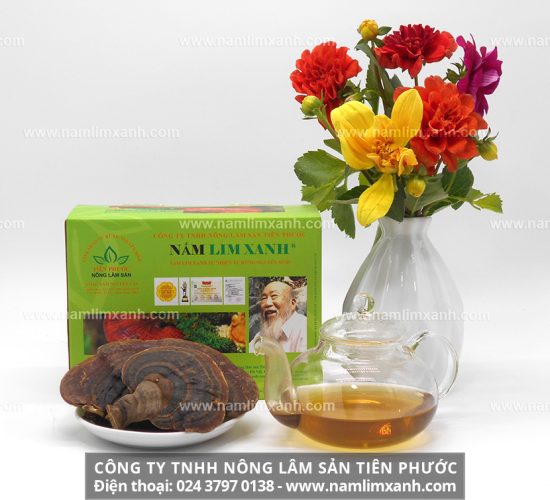 Có thai uống nấm lim xanh được không và bà bầu uống được nấm lim xanh không