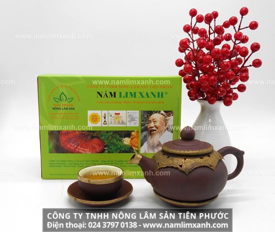 Công dụng của nấm lim xanh chữa bệnh nan y