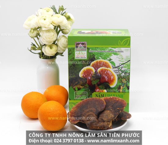 Công dụng của nấm lim xanh được ví như “tiên dược”