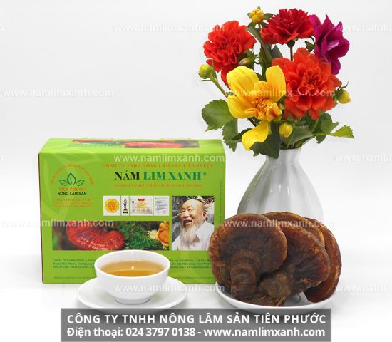 Công dụng của nấm lim xanh trong điều trị ung thư tuyến giáp