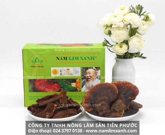 Công dụng của nước sắc nấm lim xanh chữa bệnh gì