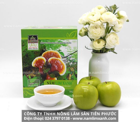 Công dụng hỗ trợ điều trị bệnh ưu việt của nấm lim xanh Tiên Phước