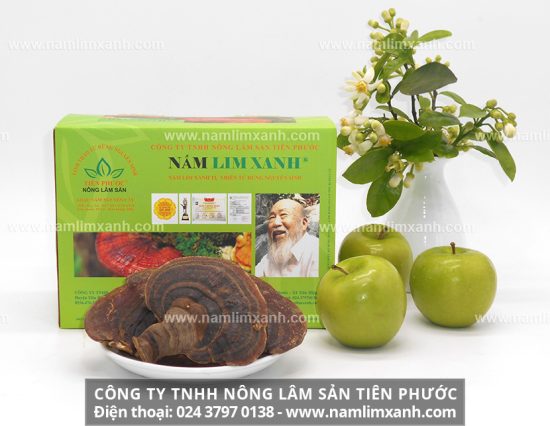 Công dụng nấm lim xanh rất tốt với bệnh nhân bị gout