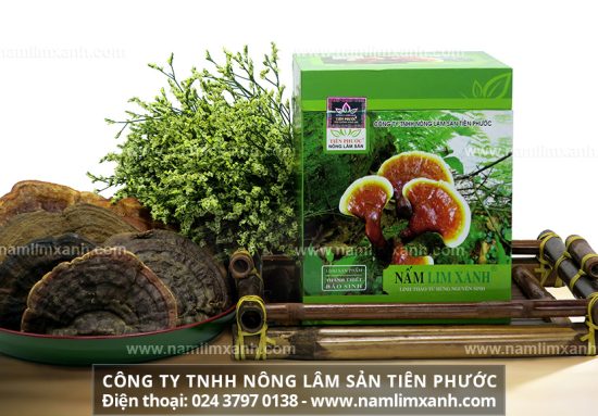 Điều trị tiểu đường bằng nấm lim xanh là giải pháp đột phá cho người tiểu đường