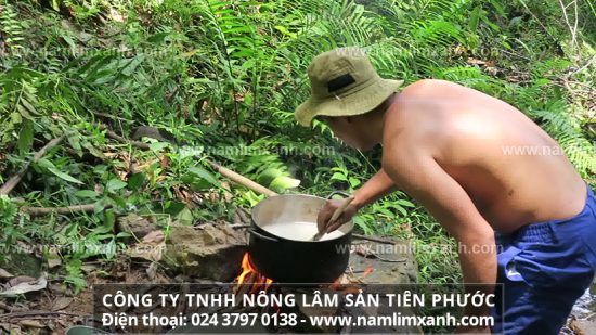 Đông y cũng là một sự lựa chọn sáng suốt giúp ngăn ngừa và điều trị ung thư gan hiệu quả.