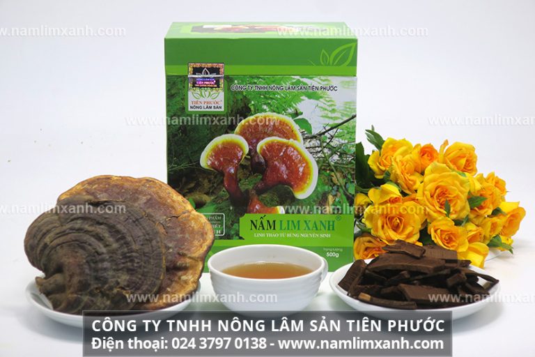 Dùng nấm lim xanh có hỗ trợ điều trị được bệnh ung thư hay không