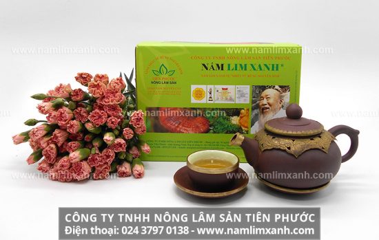 Dược tính hữu ích trong cây nấm lim xanh