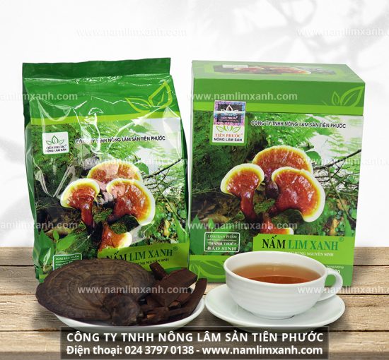 Giá bán nấm lim xanh ở Tiên Phước chính hãng