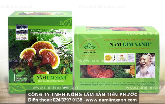 Giá bán nấm lim xanh rừng Quảng Nam