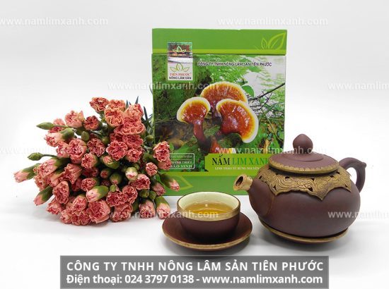 Hướng dẫn cách sử dụng nấm lim xanh ngâm rượu làm thuốc bổ