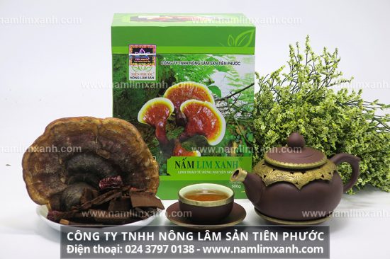 Hướng dẫn cách sử dụng nấm lim xanh trị bệnh tiểu đường hiệu quả