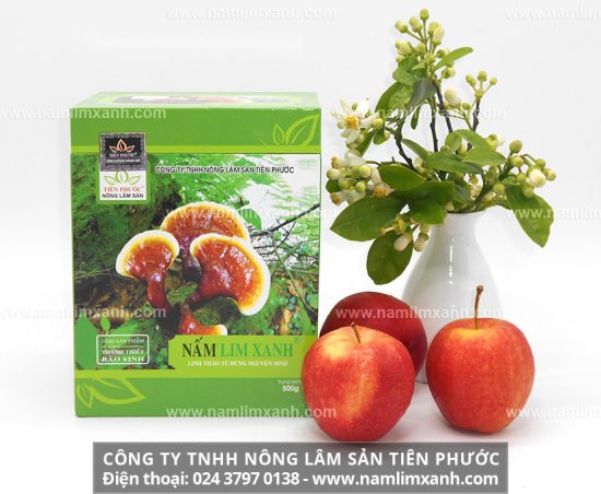 Khắc phục suy giảm sinh lý phụ nữ từ nấm lim xanh rừng tự nhiên