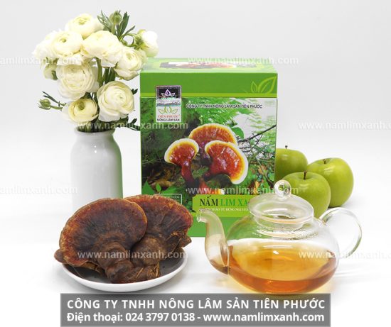 Khó phân biệt nấm lim xanh thật giả trên thị trường.