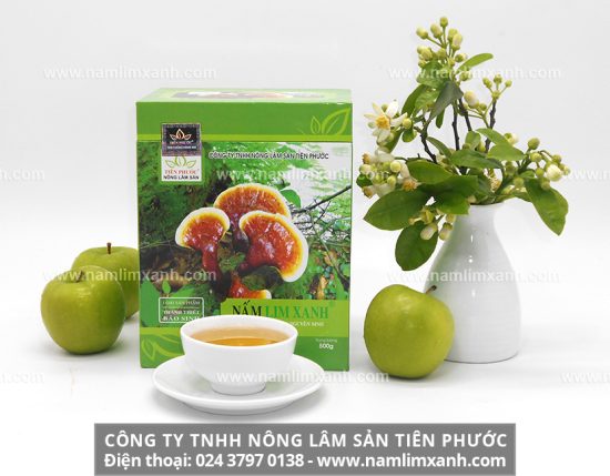 Liều lượng sử dụng nấm lim xanh thế nào là hợp lý