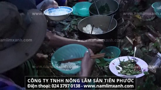 Lưu ý khi sử dụng rượu nấm lim xanh