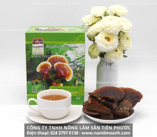 Mua nấm lim xanh uy tín và chất lượng