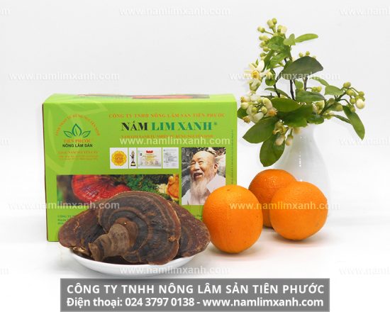 Nấm lim xanh Quảng Nam chữa bệnh viêm gan an toàn và hiệu quả