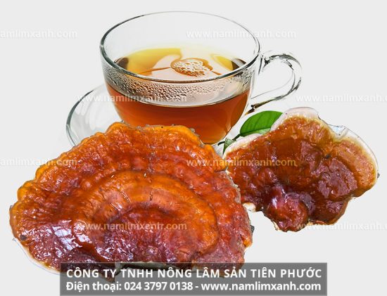 Nấm lim xanh Quảng Nam có tác dụng gì và cách dùng nấm lim xanh