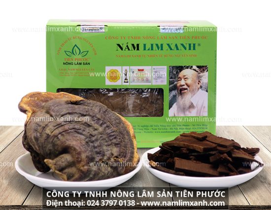 Nấm lim xanh Quảng Nam có tác dụng rất tốt trong việc điều trị bệnh