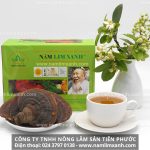 Bạn có biết thảo dược nấm lim xanh Quảng Nam trị bệnh gì?