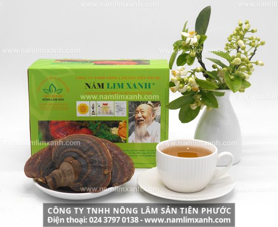 Nấm lim xanh Quảng Nam trị bệnh gì