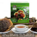 Nấm lim xanh Tiên Phước cách dùng đúng tác dụng của nấm lim xanh