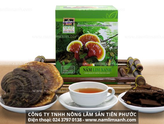 Nấm lim xanh Tiên Phước cách dùng đúng tác dụng của nấm lim xanh