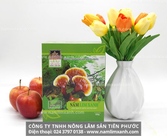 Nấm lim xanh Tiên Phước điều trị ung thư hiệu quả