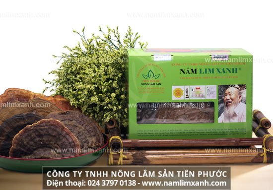 Nấm lim xanh Tiên Phước giá bao nhiêu 1kg đúng nấm rừng tự nhiên