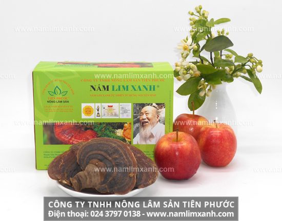 Nấm lim xanh Tiên Phước trị ung thư đại tràng hiệu quả cao và bồi bổ sức khỏe