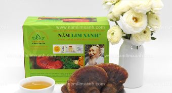 Nâng cao và cải thiện chất lượng cuộc sống nhờ nấm lim xanh