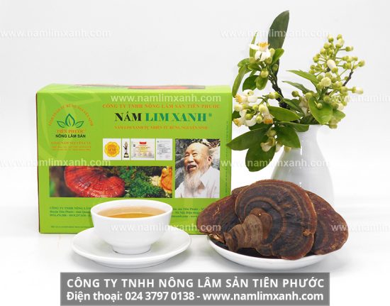 Nấm lim xanh chữa bệnh gout hiệu quả sau bao lâu