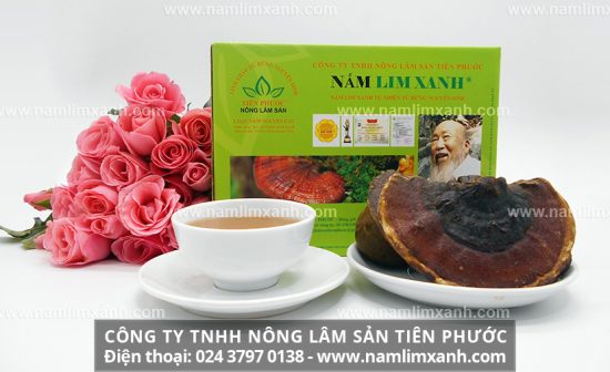 Nấm lim xanh chữa bệnh ung thư da