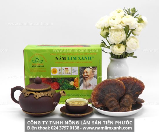 Nấm lim xanh có chữa được ung thư như thê nào