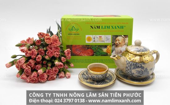 Nấm lim xanh có công dụng đặc biệt trong hỗ trợ và điều trị các bệnh nan y