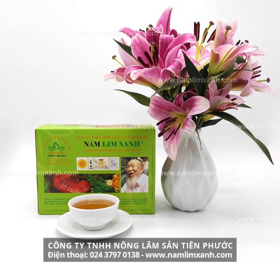 Nấm lim xanh có công dụng gì trong điều trị bệnh xơ gan