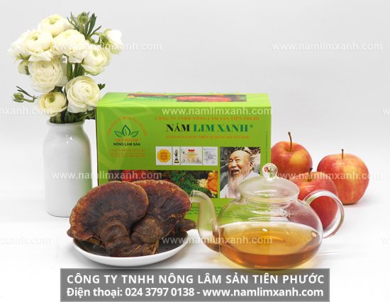 Nấm lim xanh có công dụng hỗ trợ điều trị các bệnh ung thư