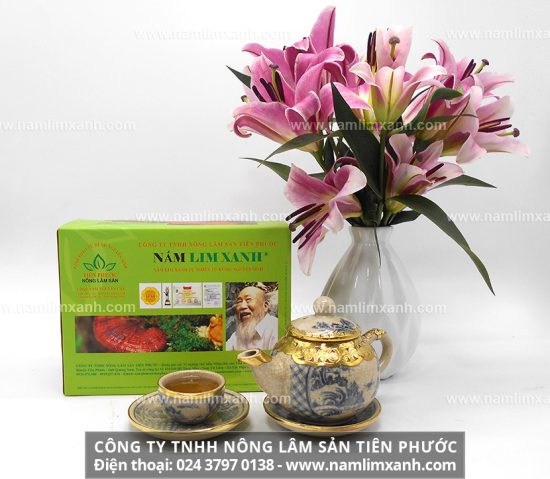 Nấm lim xanh có giá bán bao nhiêu 1kg và địa chỉ mua nấm lim uy tín