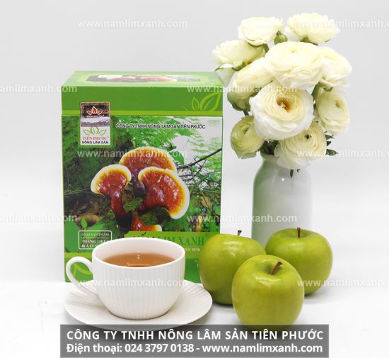 Nấm lim xanh có khả năng ngăn ngừa và hỗ trợ điều trị rất tốt các bệnh ung thư