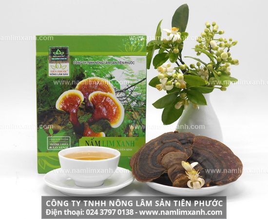 Nấm lim xanh có nhiều lợi ích đối với sức khỏe con người