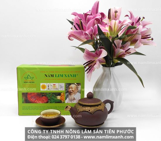 Nấm lim xanh có tác dụng chữa bệnh rất tốt