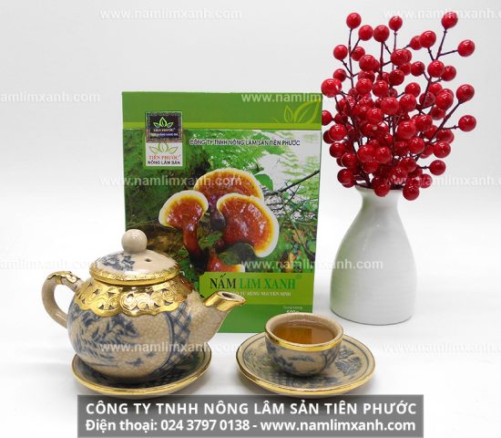 Nấm lim xanh có tác dụng điều trị bệnh ung thư gan