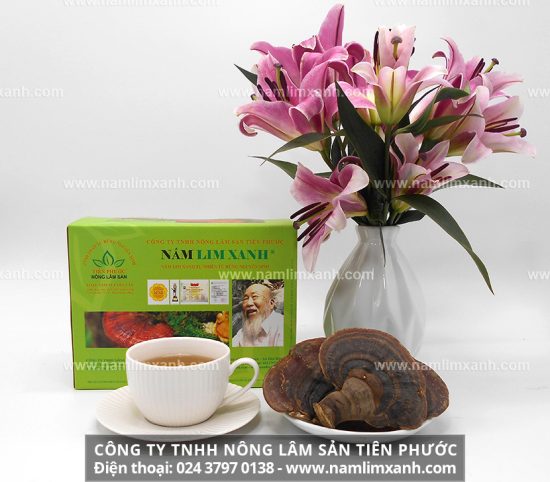 Nấm lim xanh có tác dụng tốt trong việc hỗ trợ điều trị tai biến mạch máu não, bệnh về gan như viêm gan b, c,...