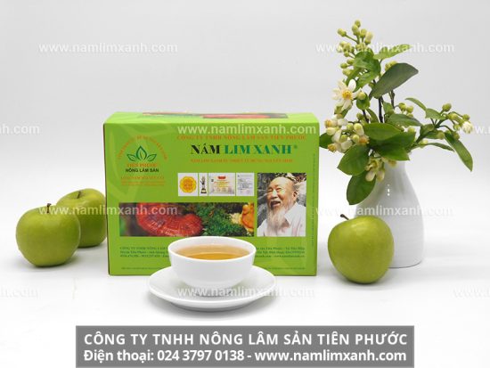 Nấm lim xanh cổ truyền chữa bệnh nan y và ung thư hiệu quả