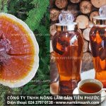 Nấm lim xanh cổ truyền tác dụng gì tăng cường sinh lực phái mạnh