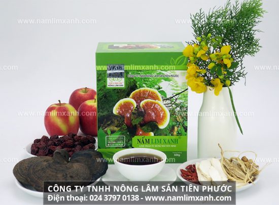 Nấm lim xanh cổ truyền tác dụng gì trong tăng cường sinh lực đàn ông