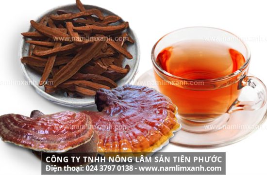 Nấm lim xanh đã chế biến bằng phương pháp gia truyền có chất lượng tốt hơn nấm thô