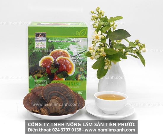 Nấm lim xanh đã mang đến điều kỳ diệu chữa u gan