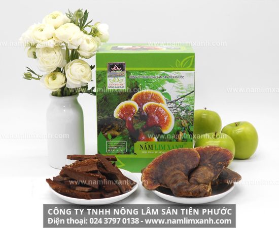 Nấm lim xanh đặc biệt tốt đối với người mắc bệnh ung thư